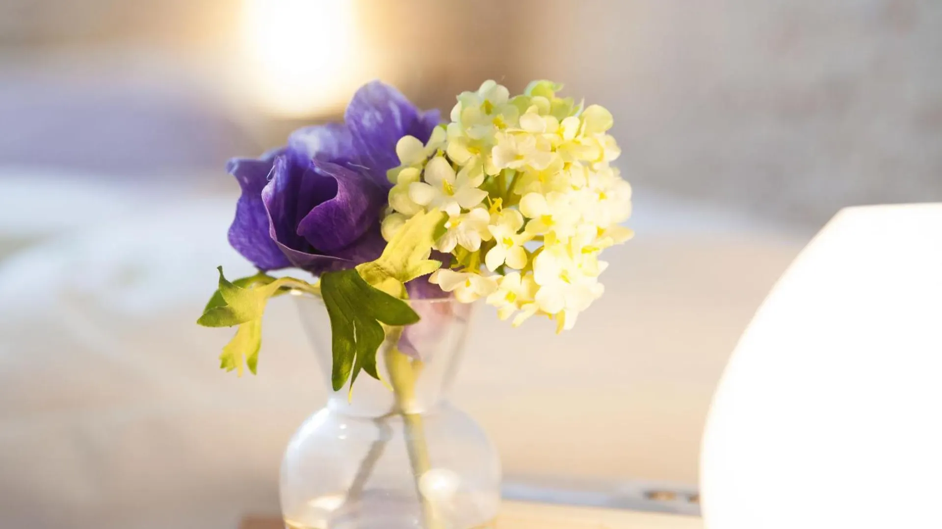 B&B Villa Amodeo Paceco Bed & Breakfast