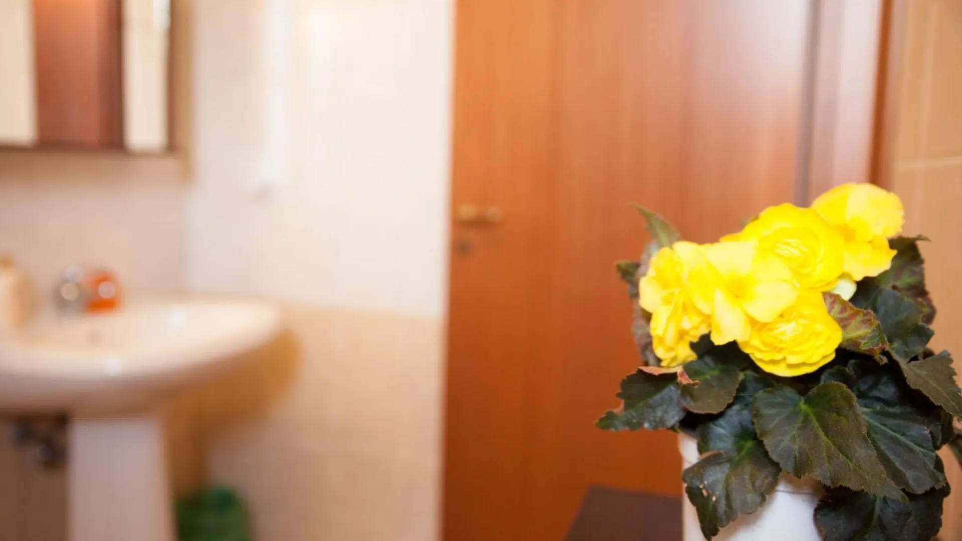 B&B Villa Amodeo Paceco