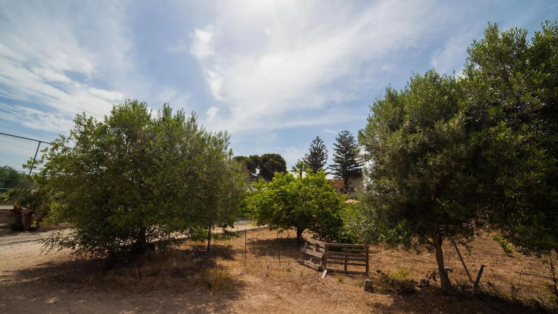 B&B Villa Amodeo Paceco Bed & Breakfast