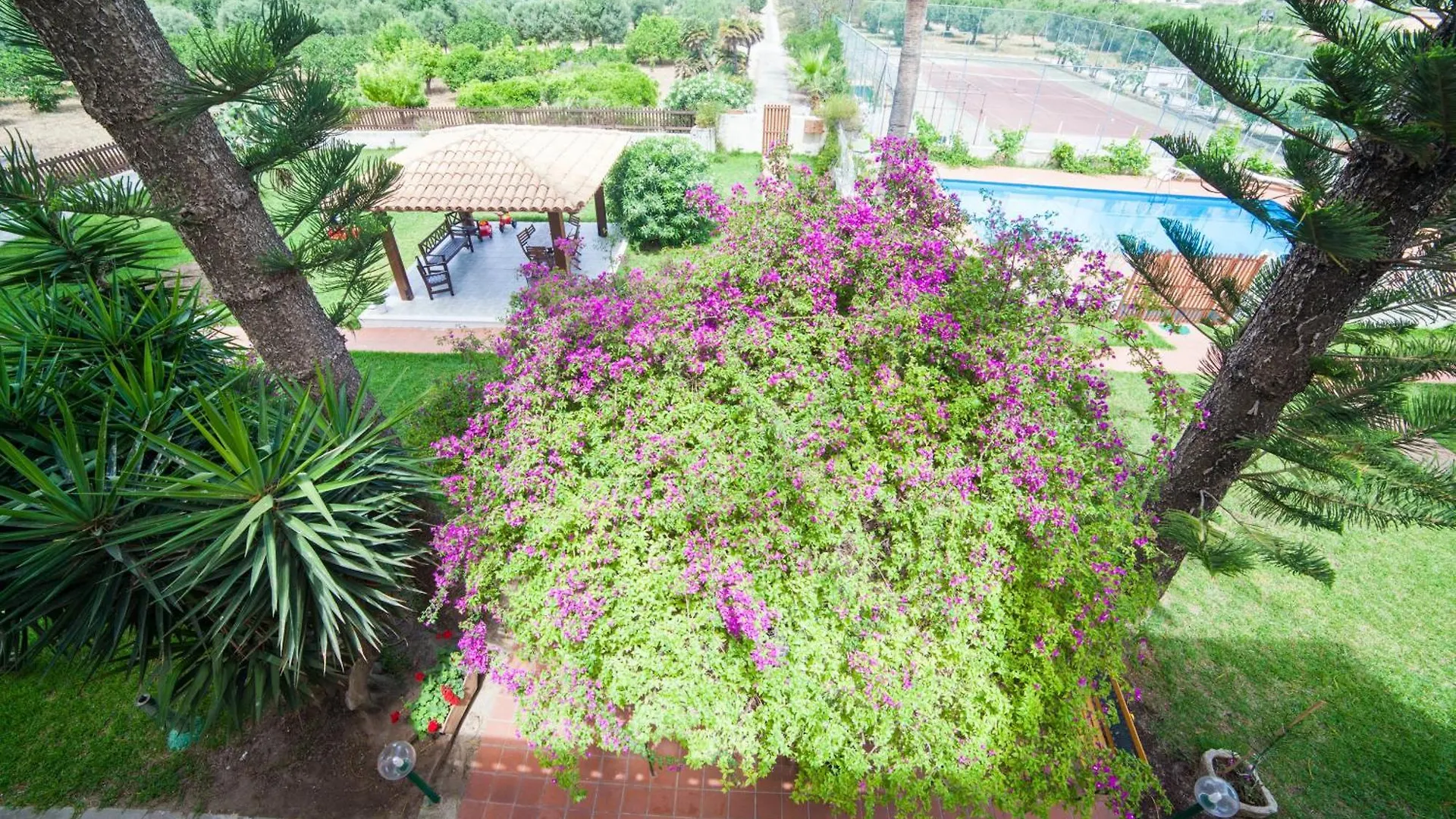 B&B Villa Amodeo Paceco Italia